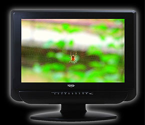  LCD  19" (48 )   DVD 